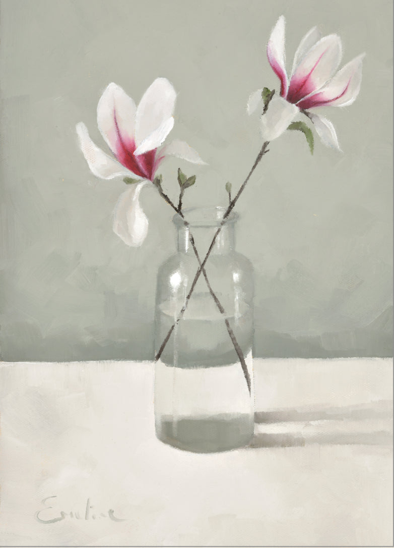 Magnolia from the Front Garden
