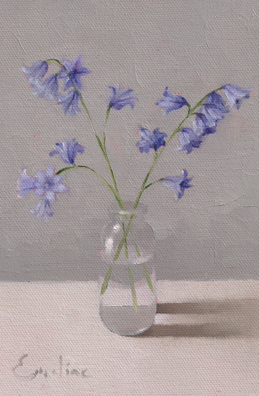 Ali's Bluebells