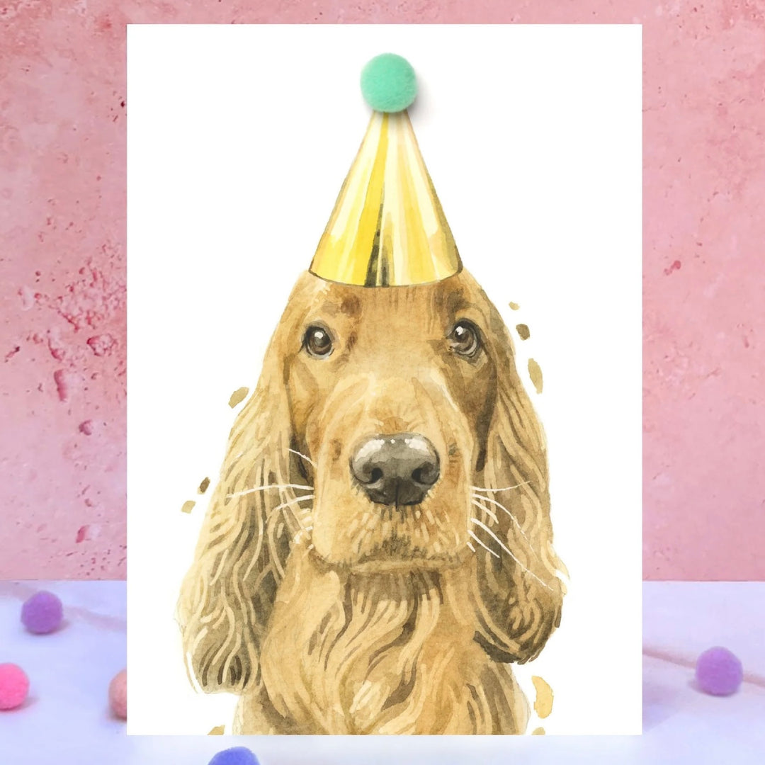 Ginger cocker spaniel Pompom birthday