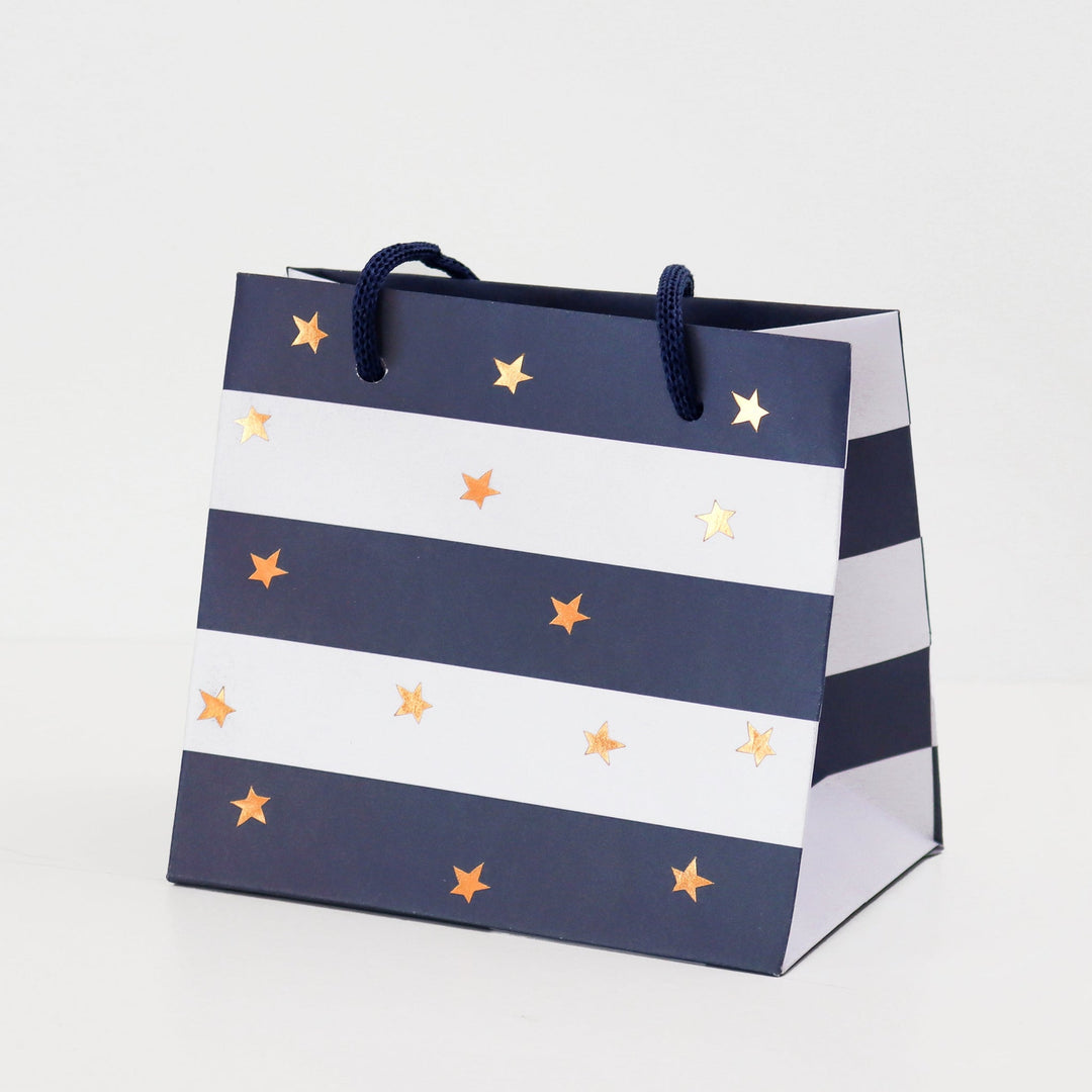 Blue Stripe Mug Gift Bag