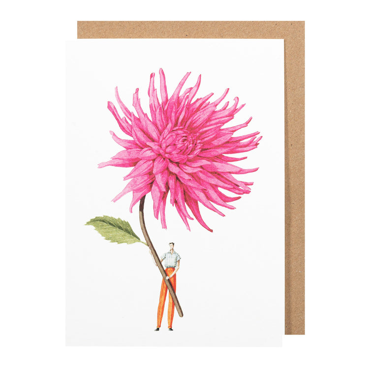 Dahlia pink