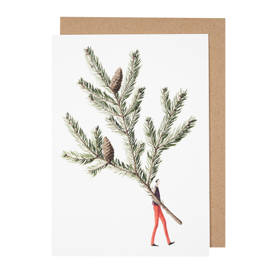 Spruce