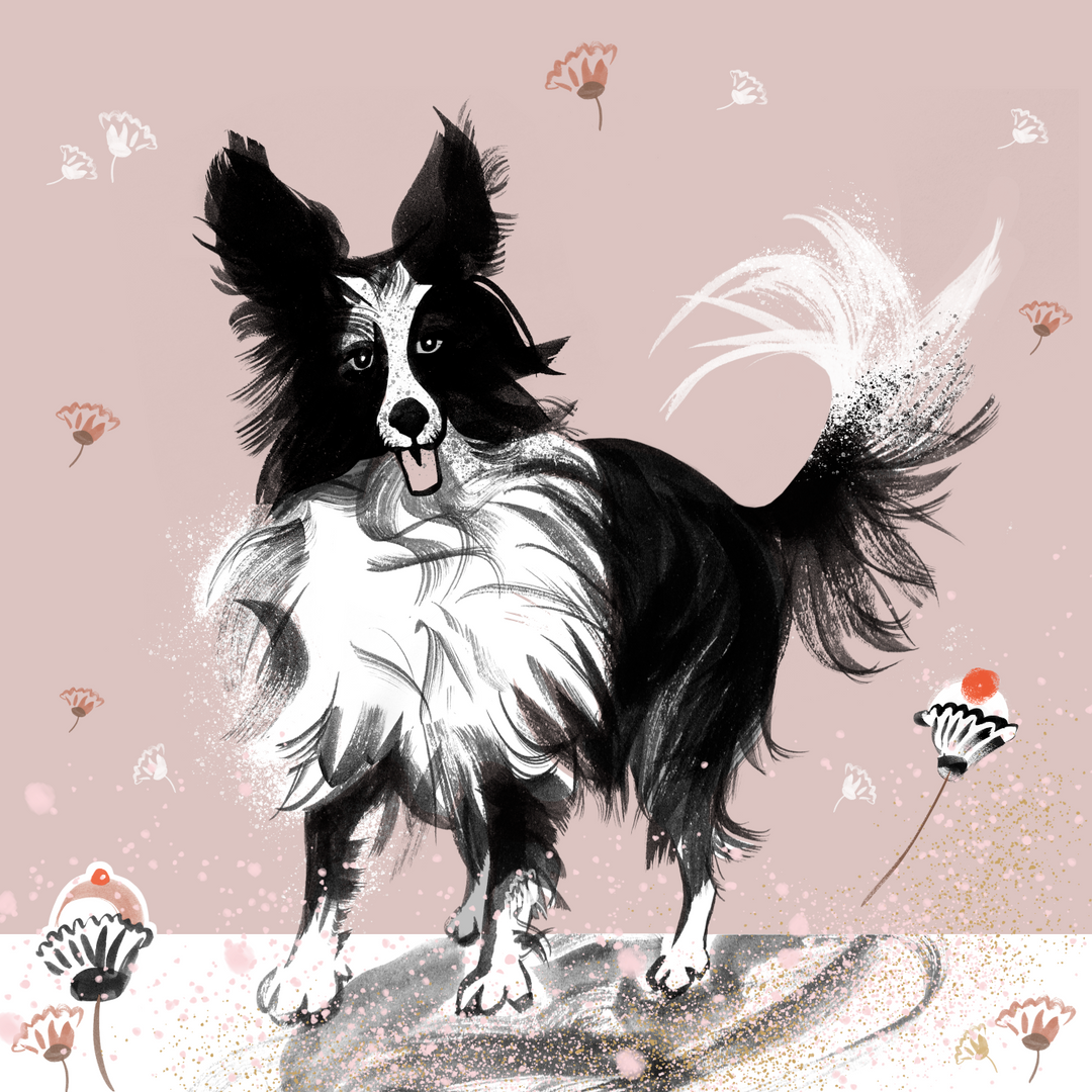 COLLIE