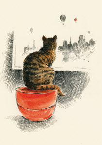 Cat Looking Out Of Window