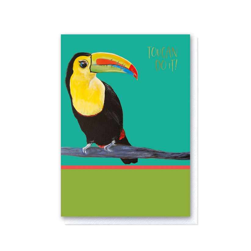 Toucan Do It!