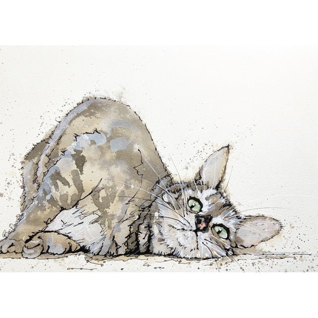 Sleepy Cat