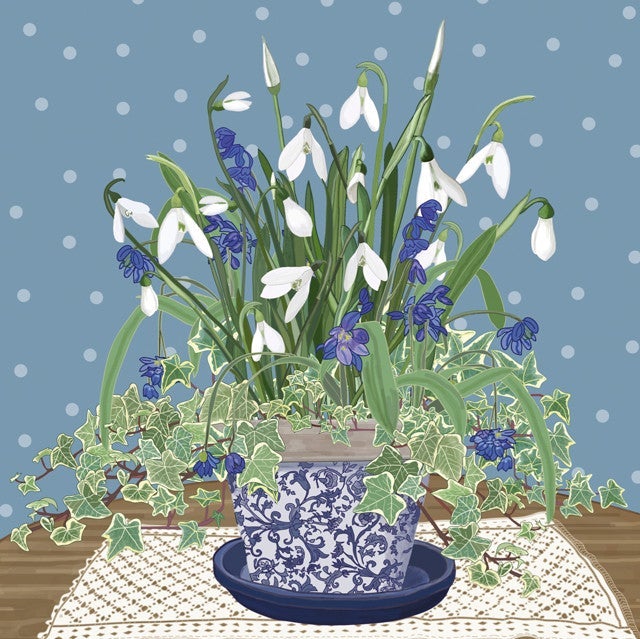 Snowdrops and Scillas