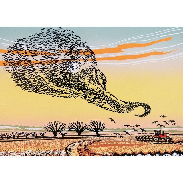 Starling Swirl