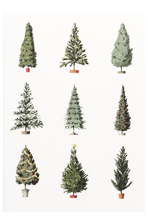Christmas Tree Card Pack