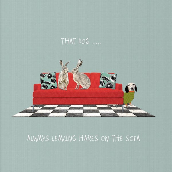 Hares on the Sofa