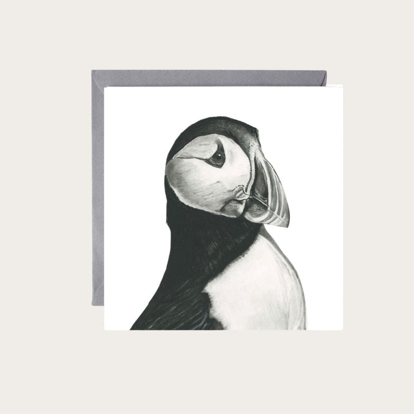 Vela the Puffin
