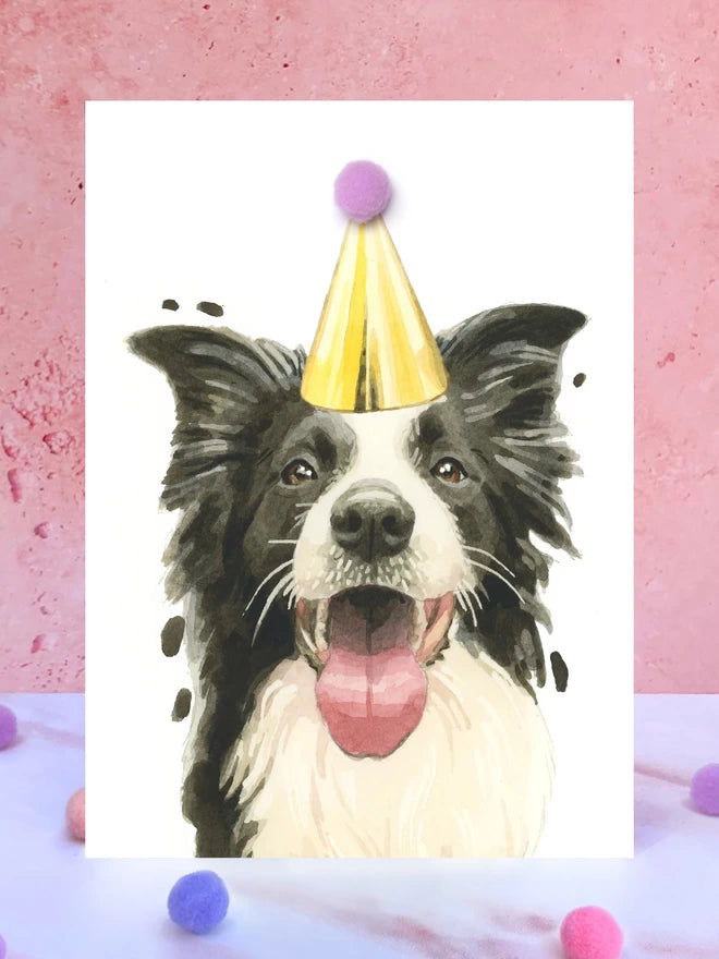 Border Collie Pompom Birthday