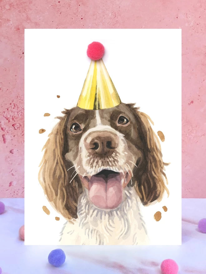 Springer Spaniel Pompom Birthday