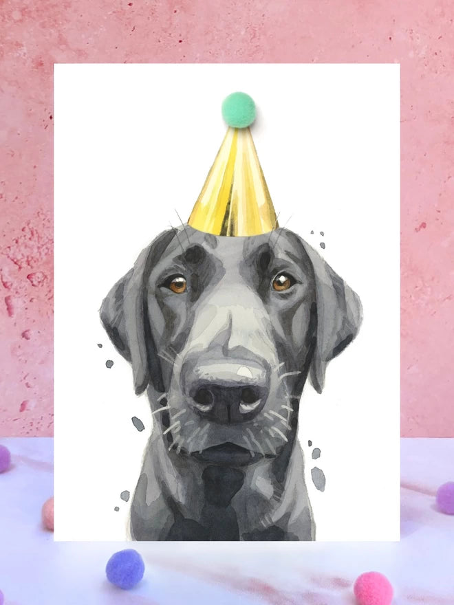 Black Labrador Pompom Birthday