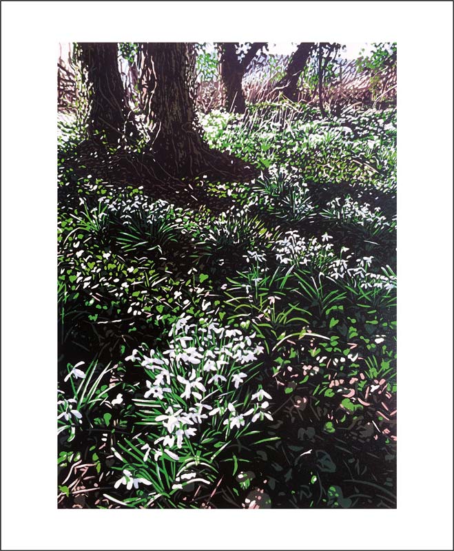 Snowdrops & Ivy