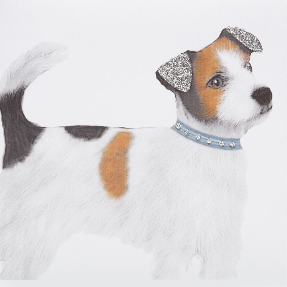 Jack Russell