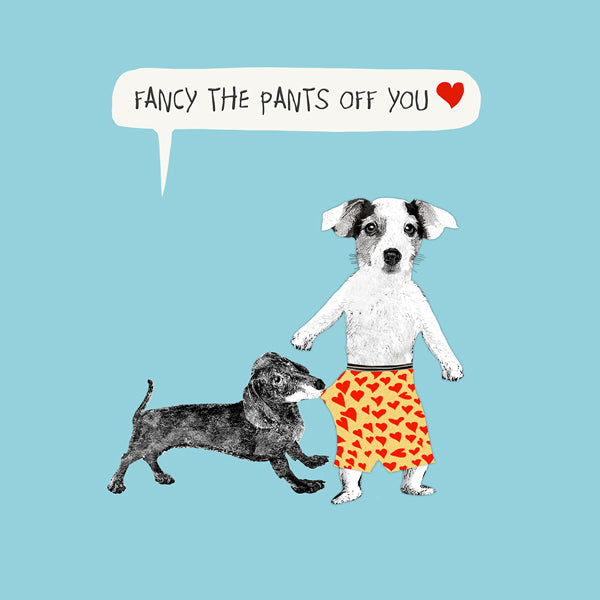 Fancy the Pants Off You