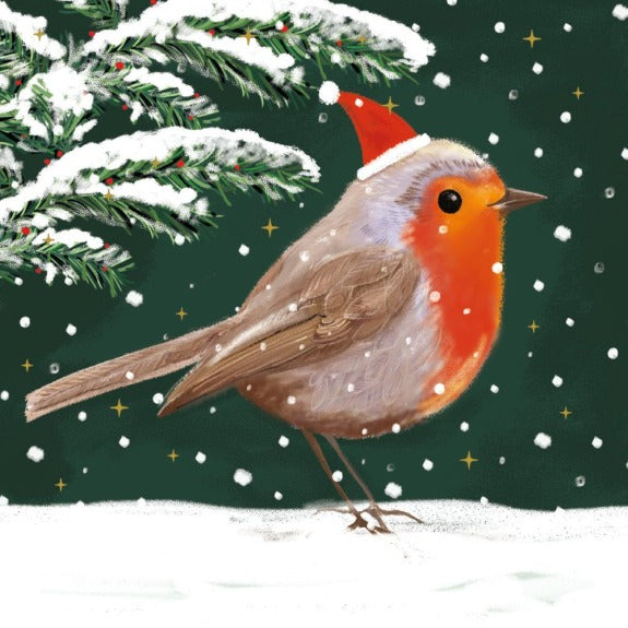 FESTIVE ROBIN PACK OF 8