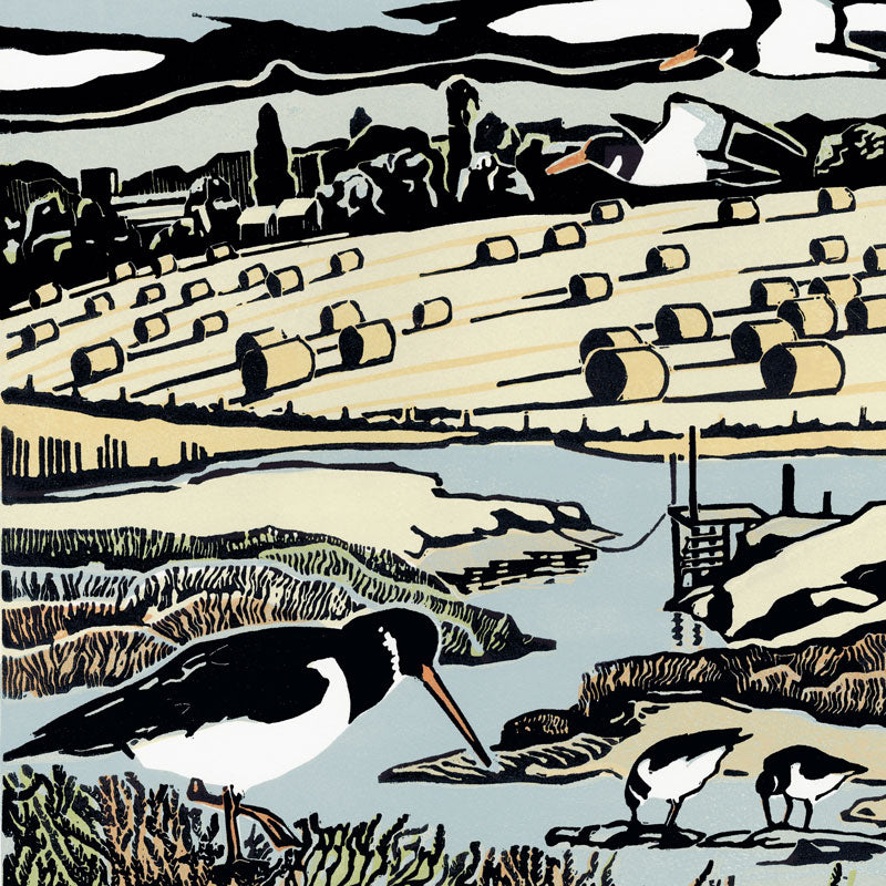 Where the Marsh Knits with Salt