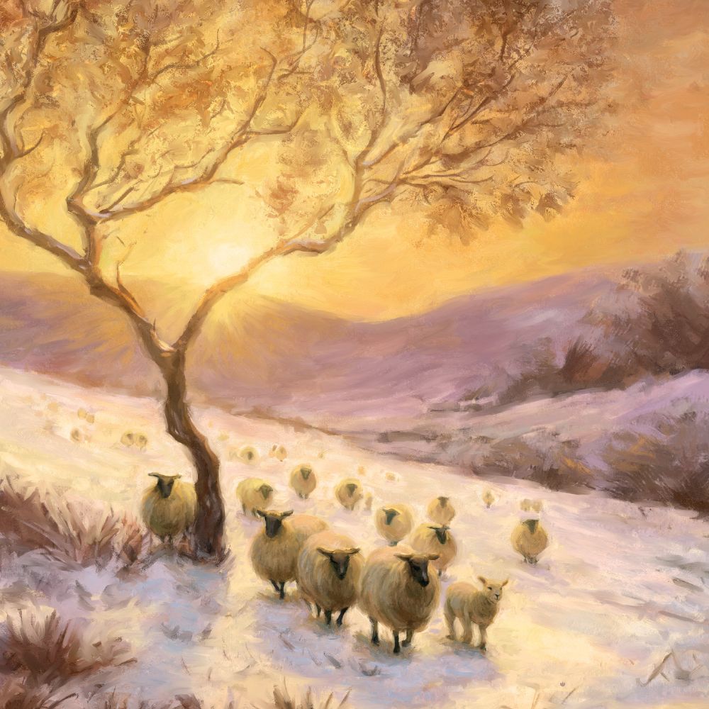 WINTER GLOW