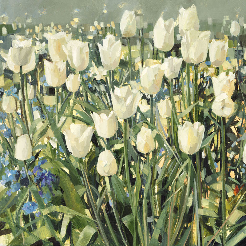 White Tulip Garden