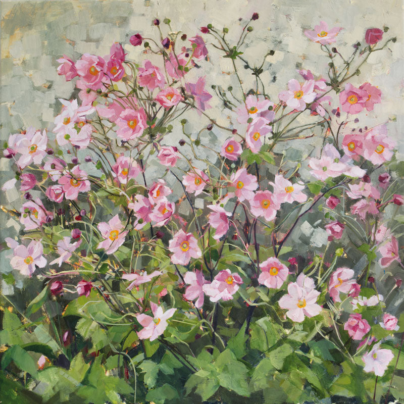 Pink Japanese Anemones