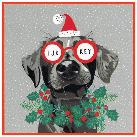 tur-key dog in glasses