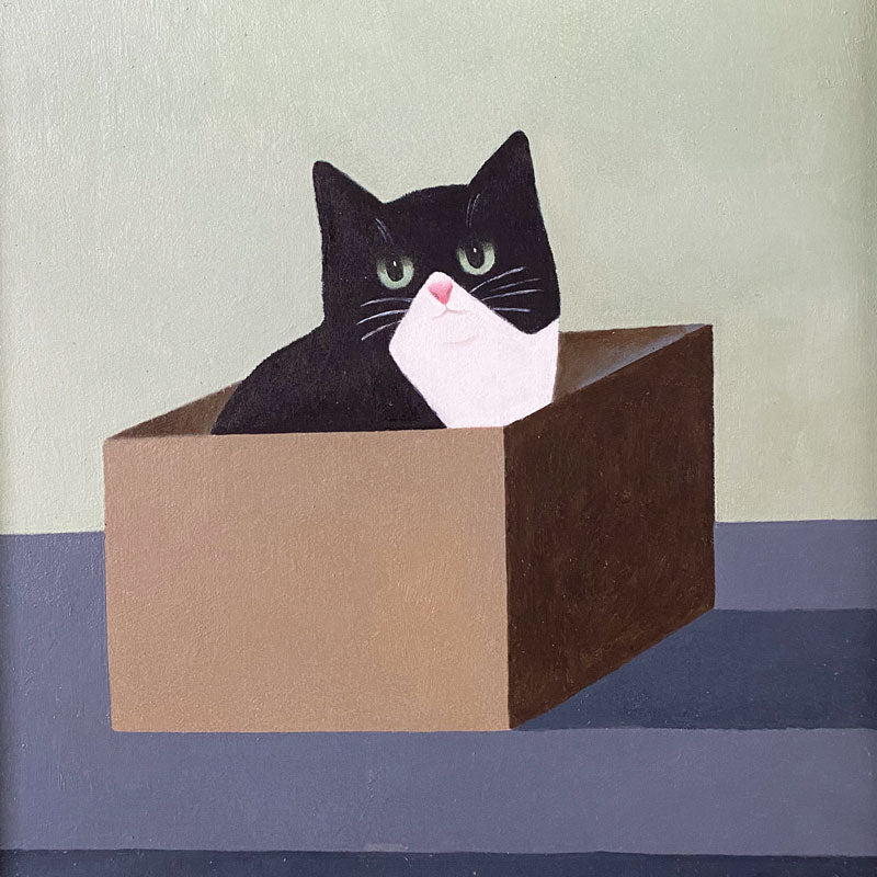 Cat in a Box