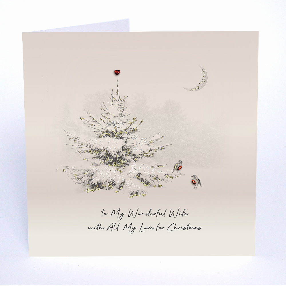 To My Wonderful Wife with All My Love for Christmas