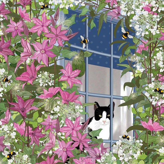 At the Window