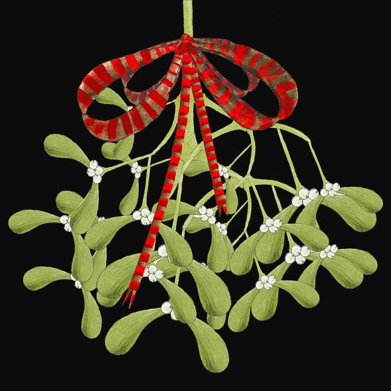 Mistletoe
