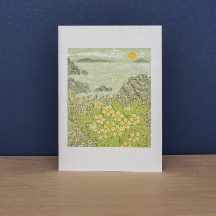 Island Primrose & Sea Pinks