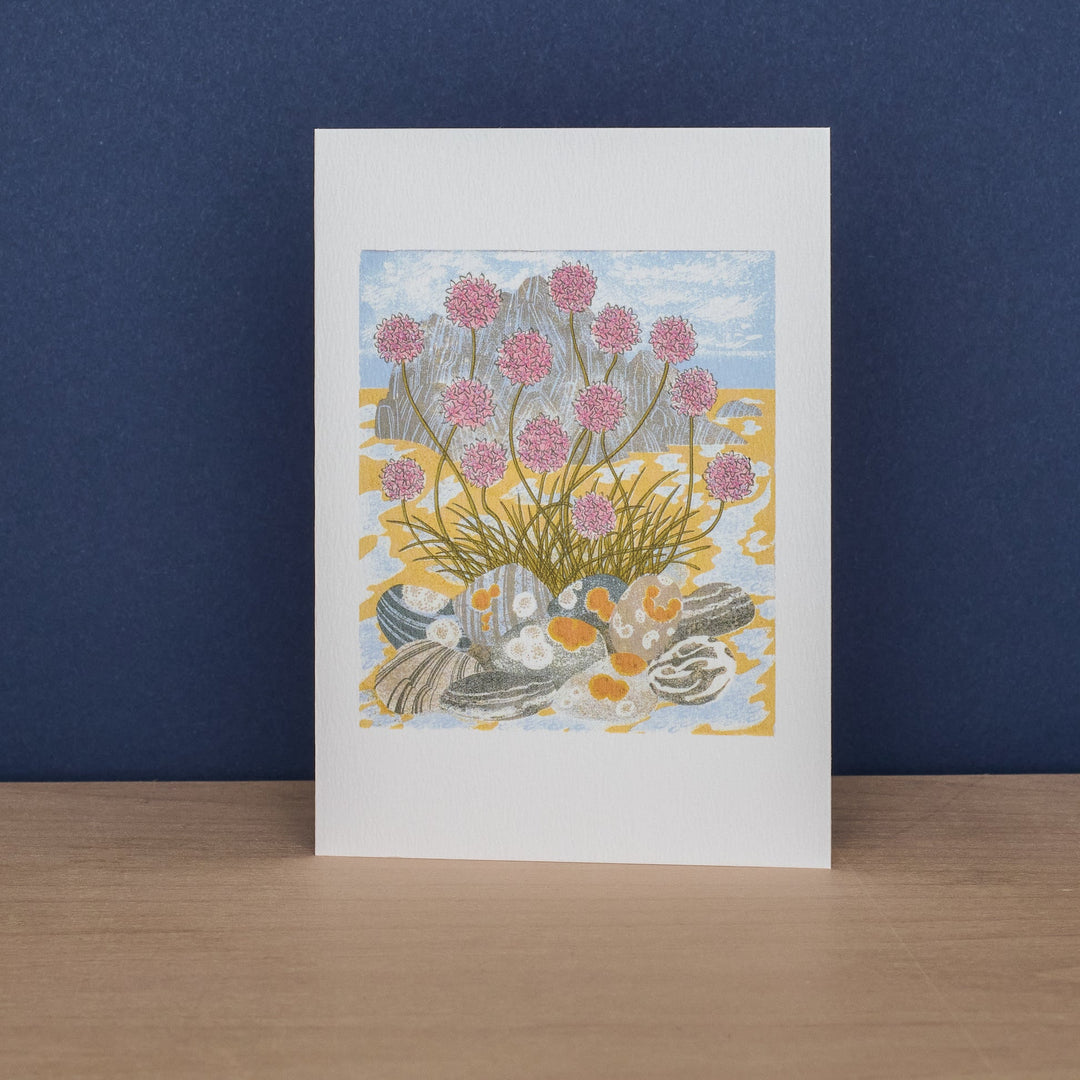 Island Primrose & Sea Pinks