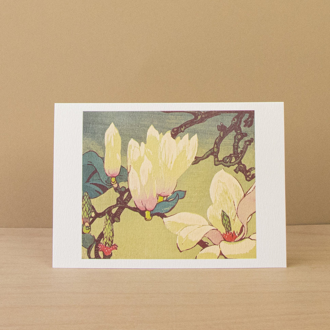 Magnolias & White Lilies