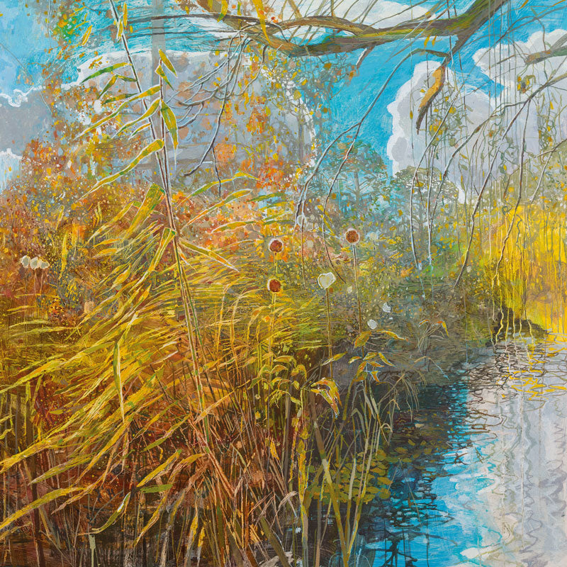 Moving Light, Richmond Park