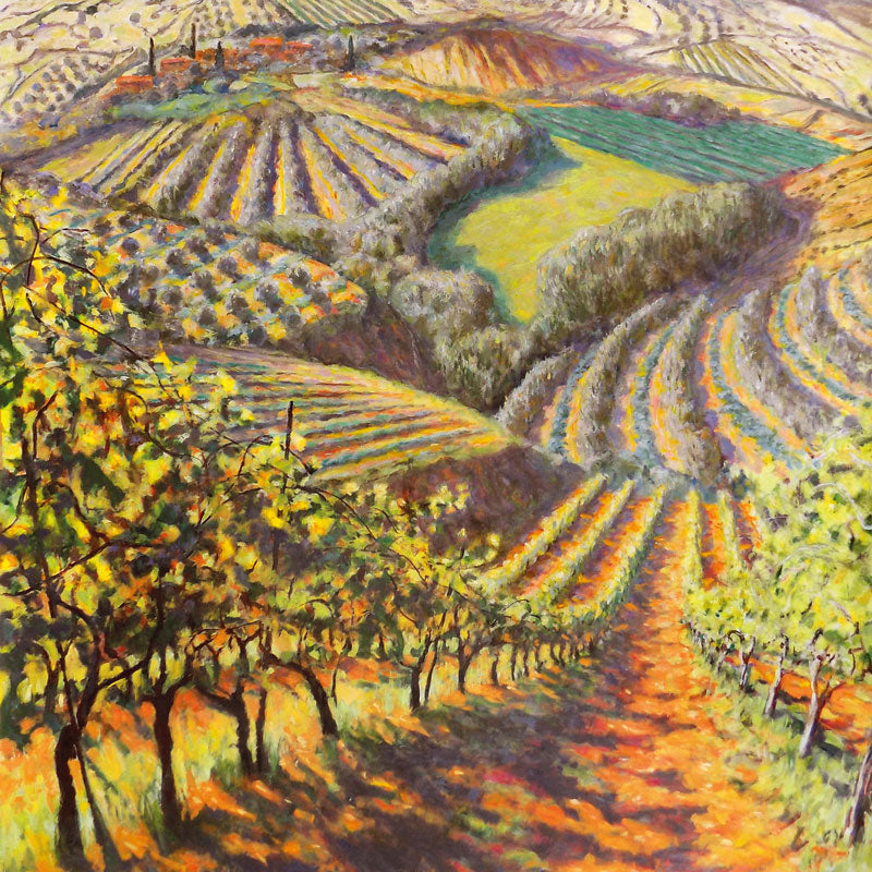 Olive Groves and Vineyards
