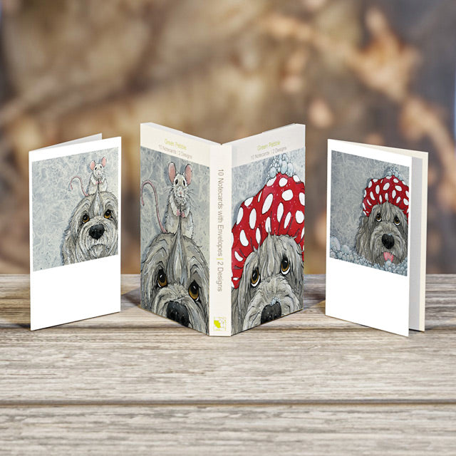 Squeak - Boxed Set of 10 Note Cards