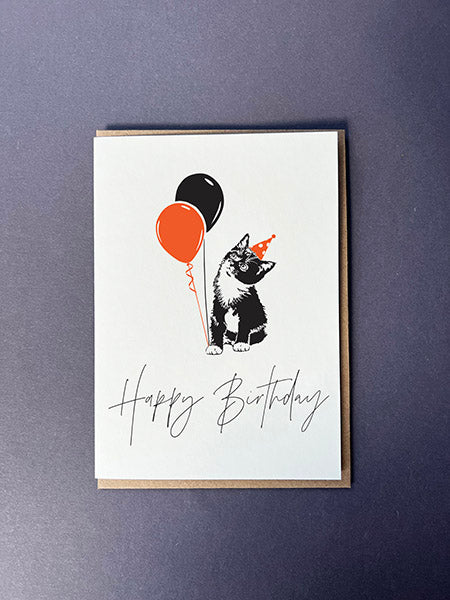 Birthday Molly Cat