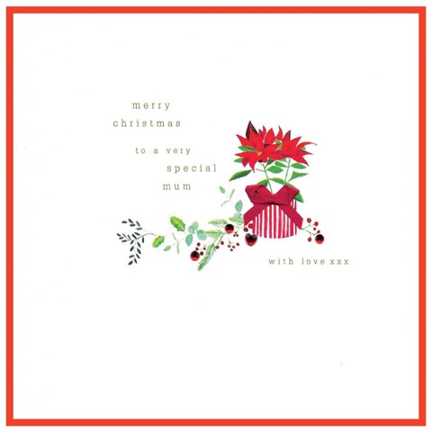 to a very special mum