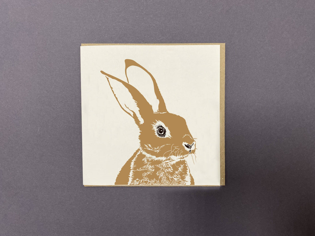 Wild Rabbit