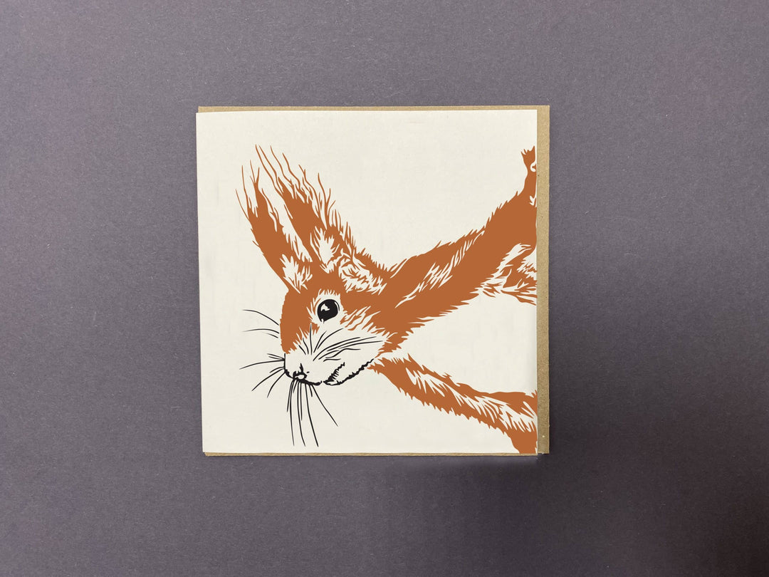 Cheeky Red Squirrel