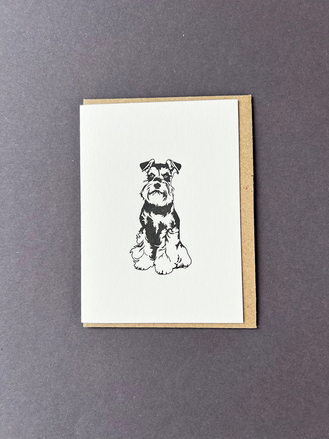 Miniature Schnauzer