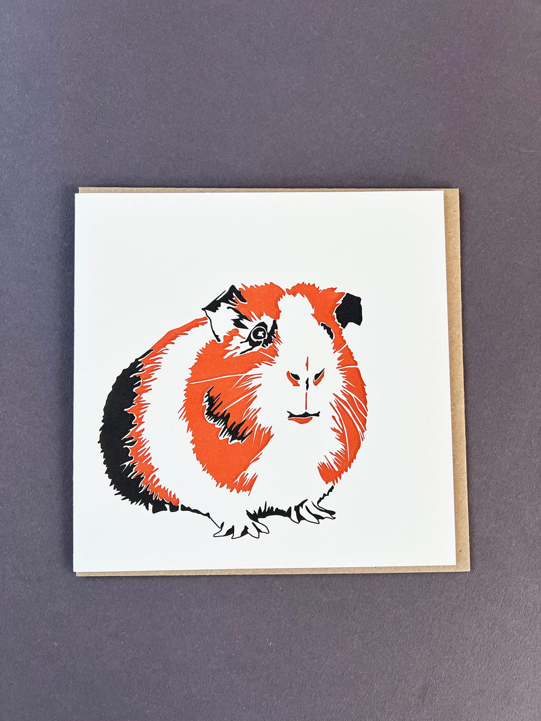Guinea Pig
