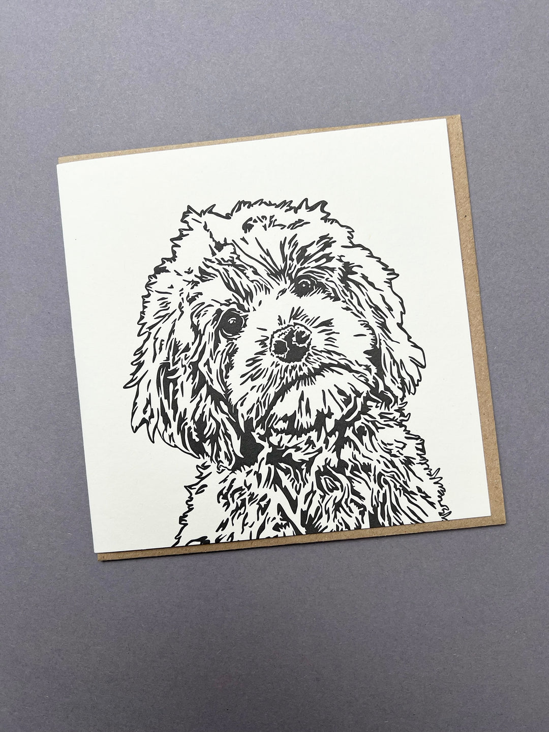 Cockapoo Puppy