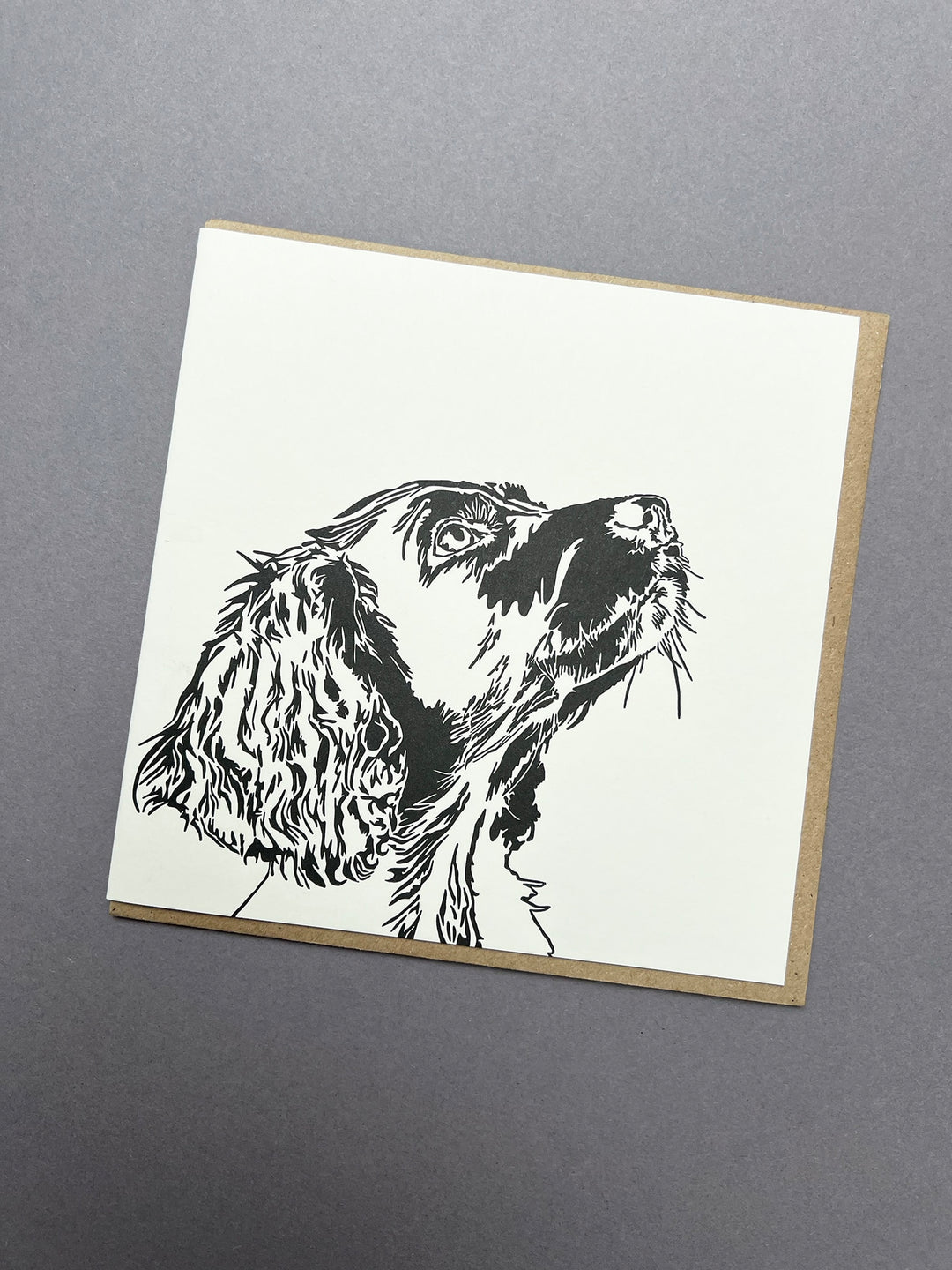 Spaniel Puppy