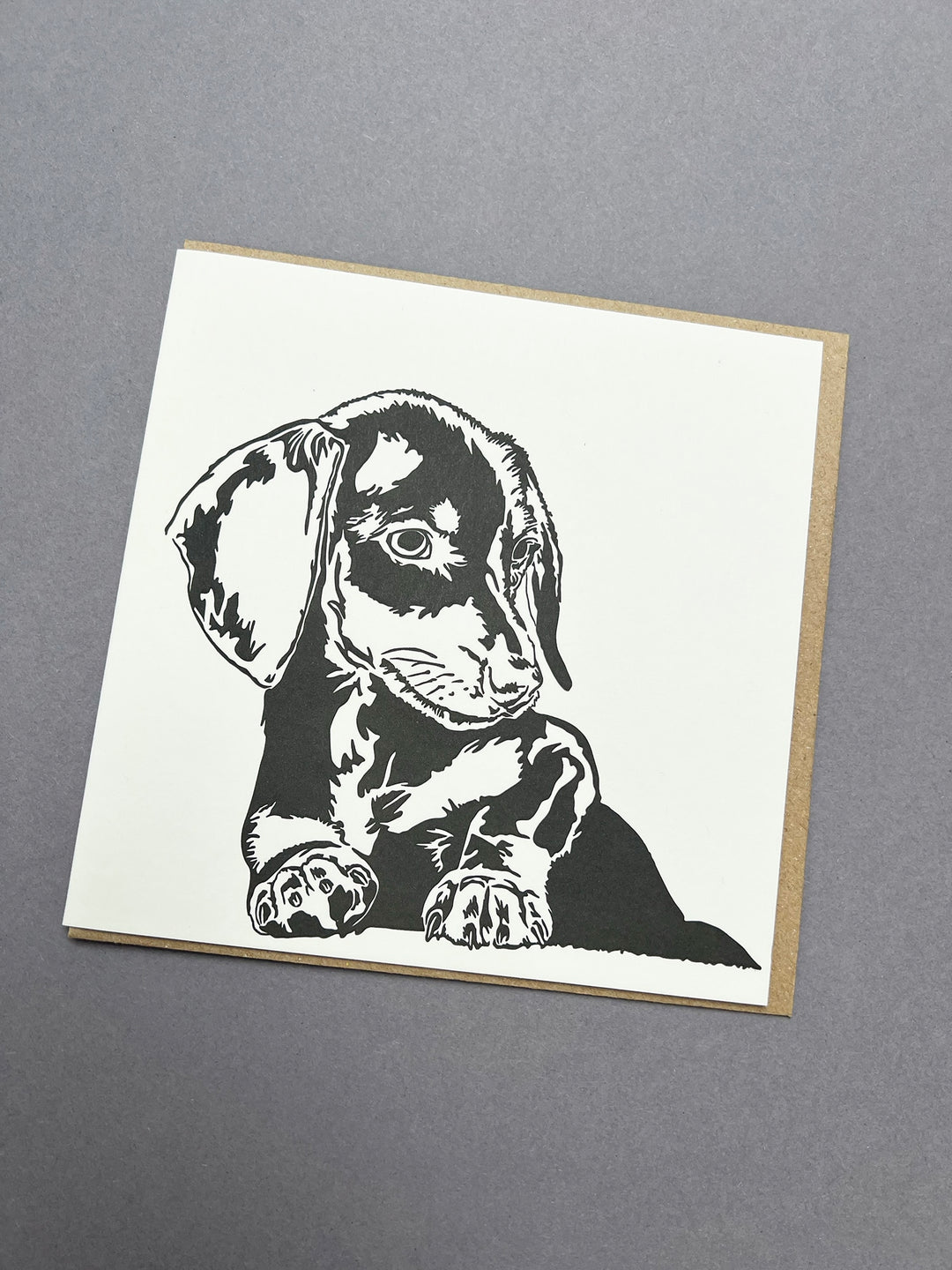 Dachshund Puppy