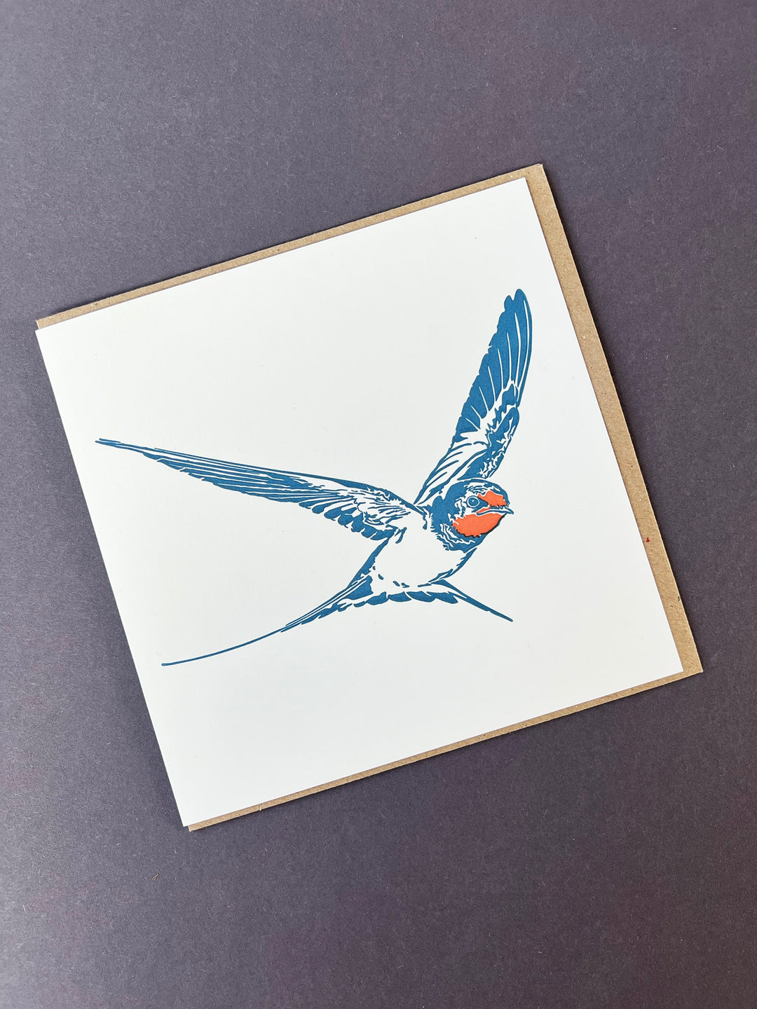 Swallow