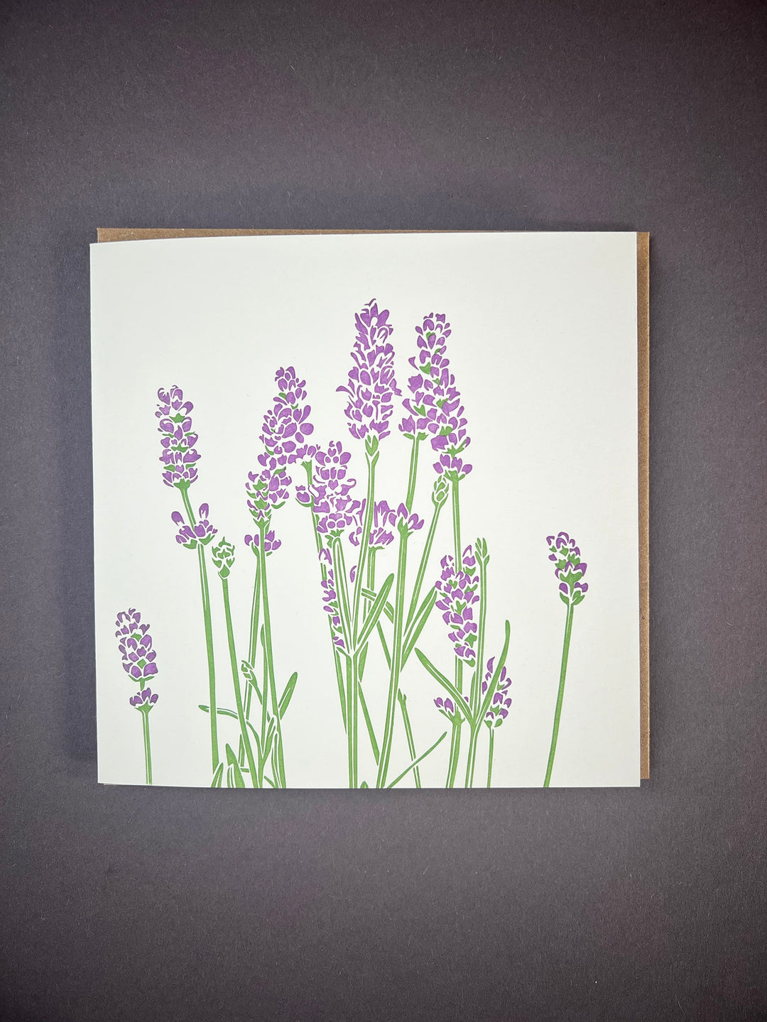Lavender