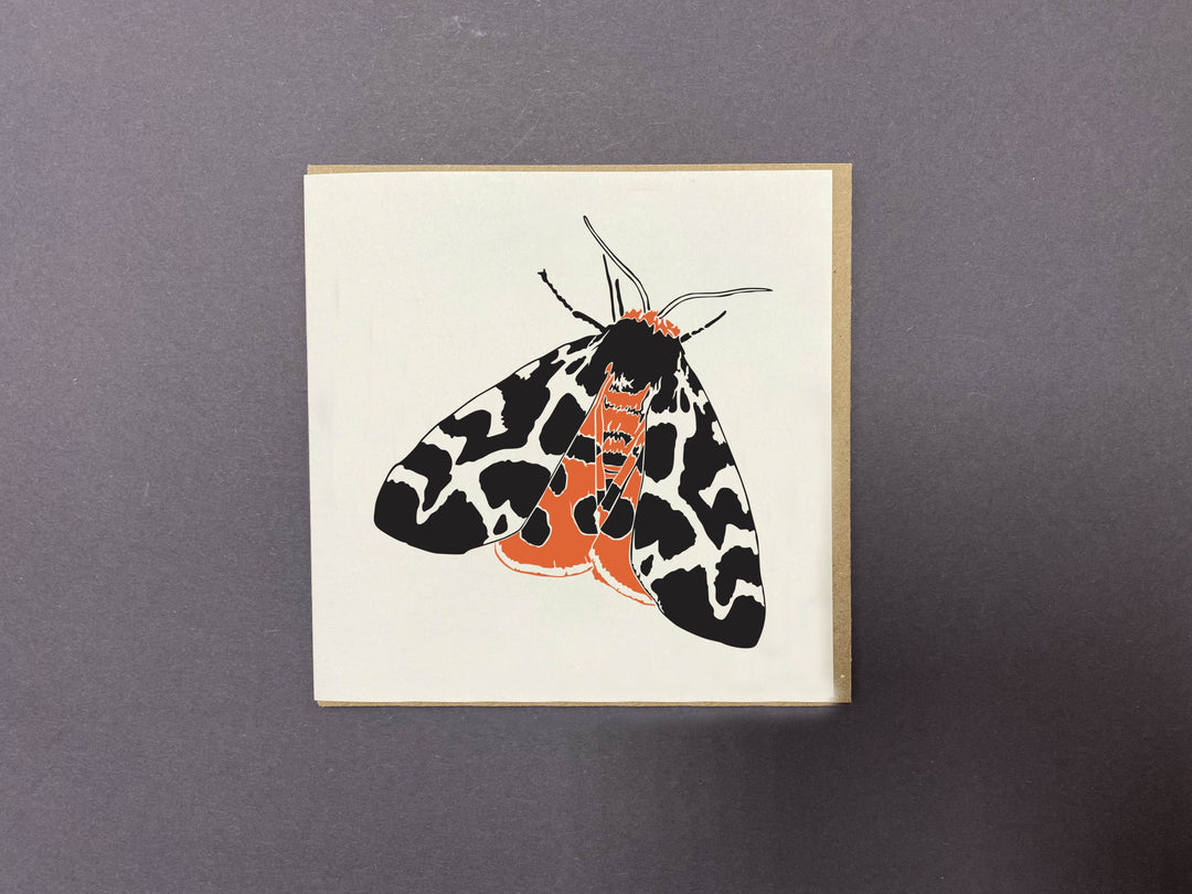 Garden Tiger Moth