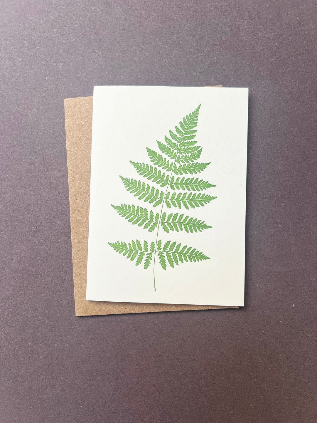 Royal Fern